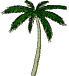plamtree